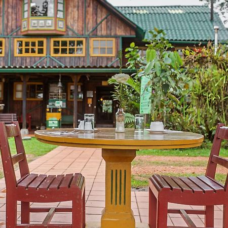 Sachatamia Lodge Mindo Kültér fotó