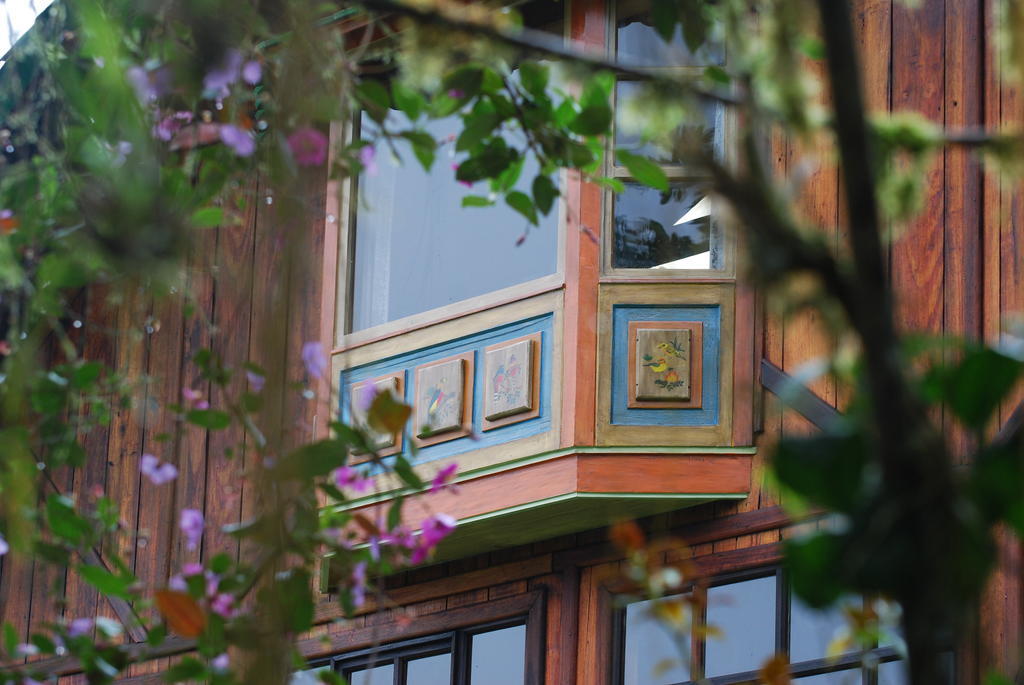 Sachatamia Lodge Mindo Kültér fotó